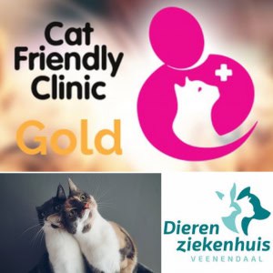 Cat friendly dierenarts Veenendaal